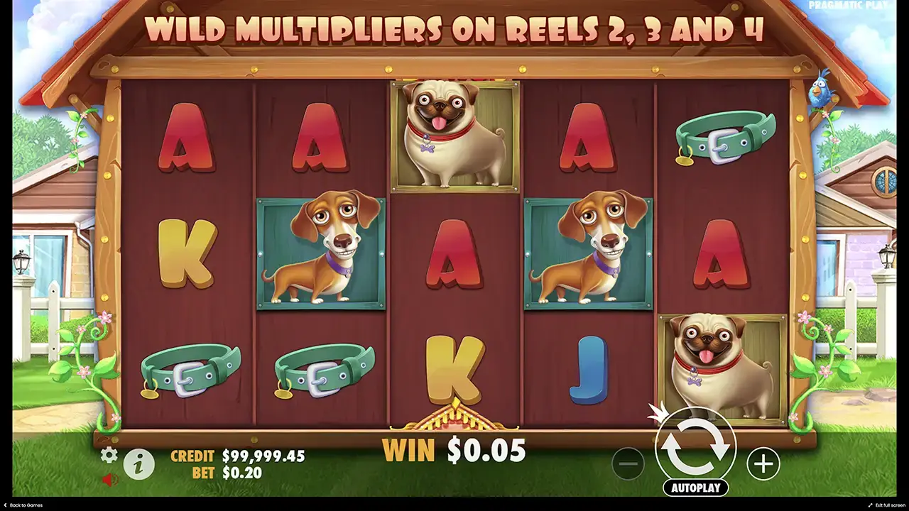 Плюсы и недостатки игры в the Dog house