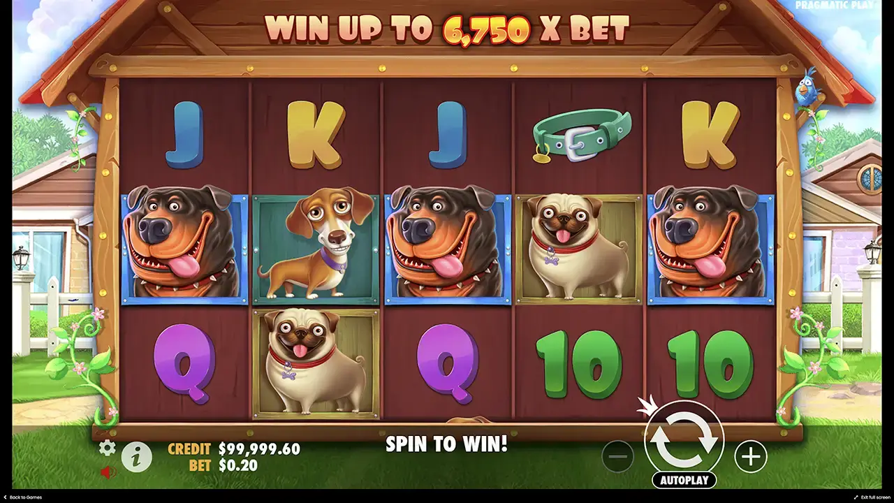 Игра без риска в слот в the Dog house