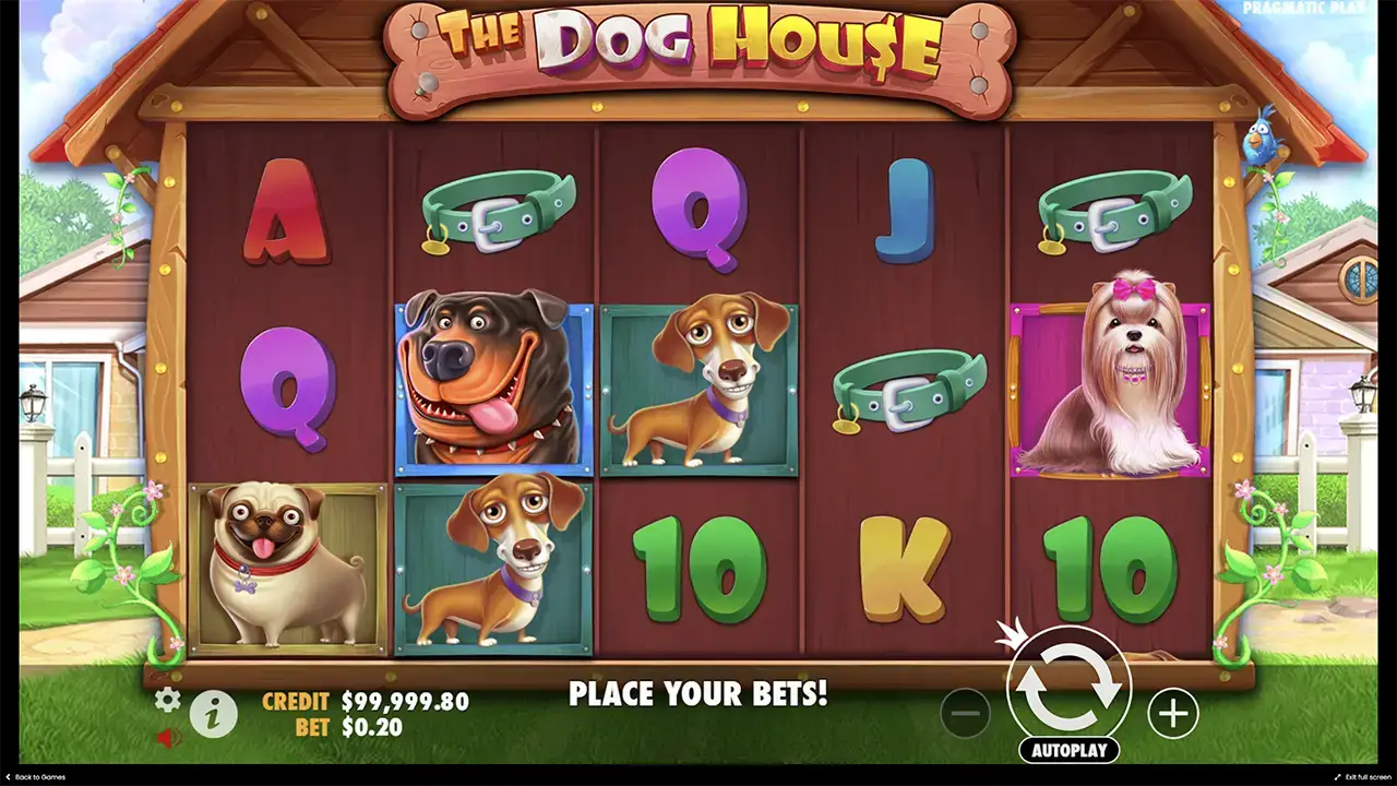 Коэффициенты игрового автомата Dog house