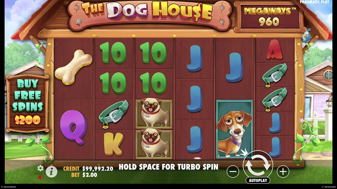 Dog house Megaways слот для всех игроков