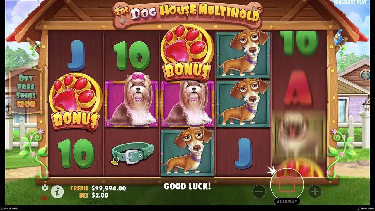 The Dog House Multihold обзор слота