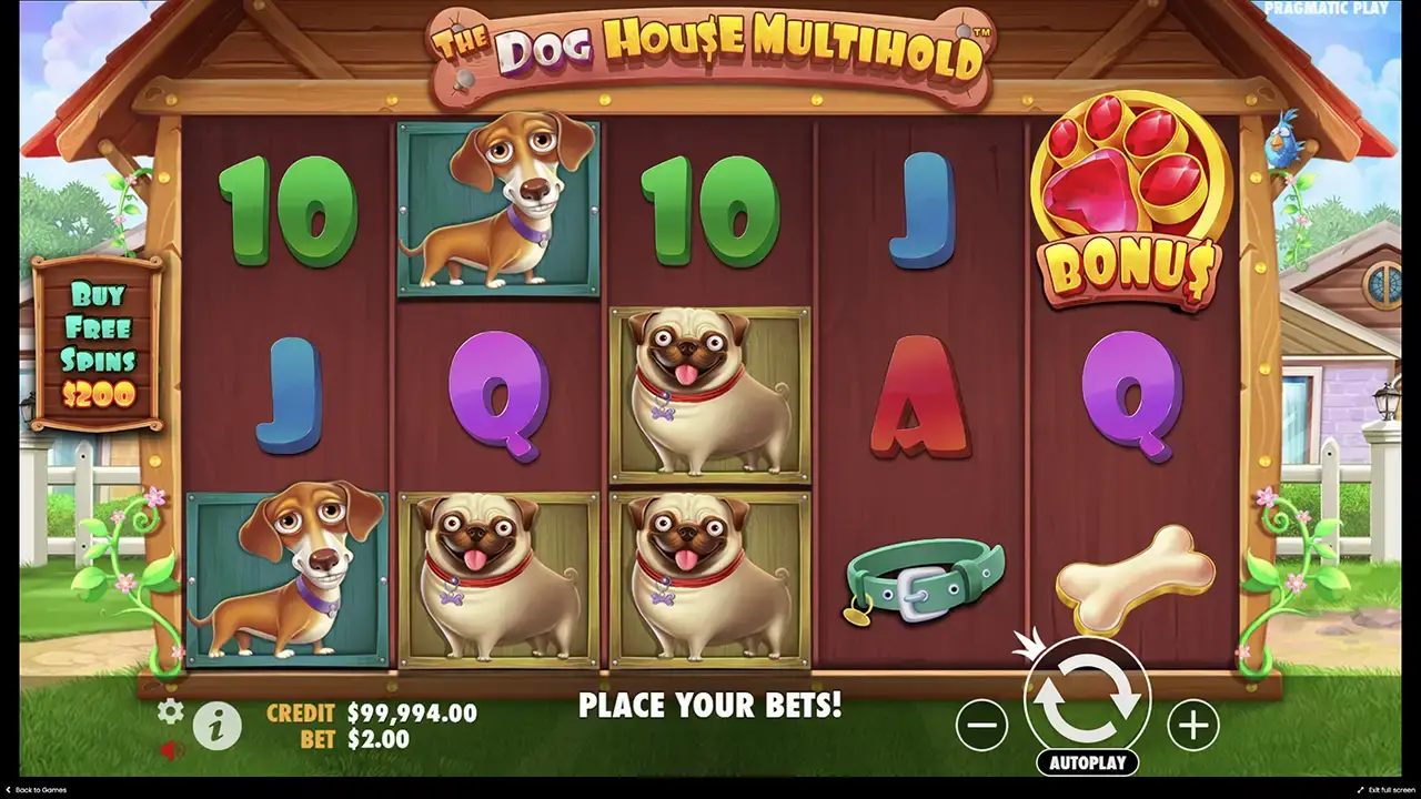 Правида игры в the Dog house Multihold