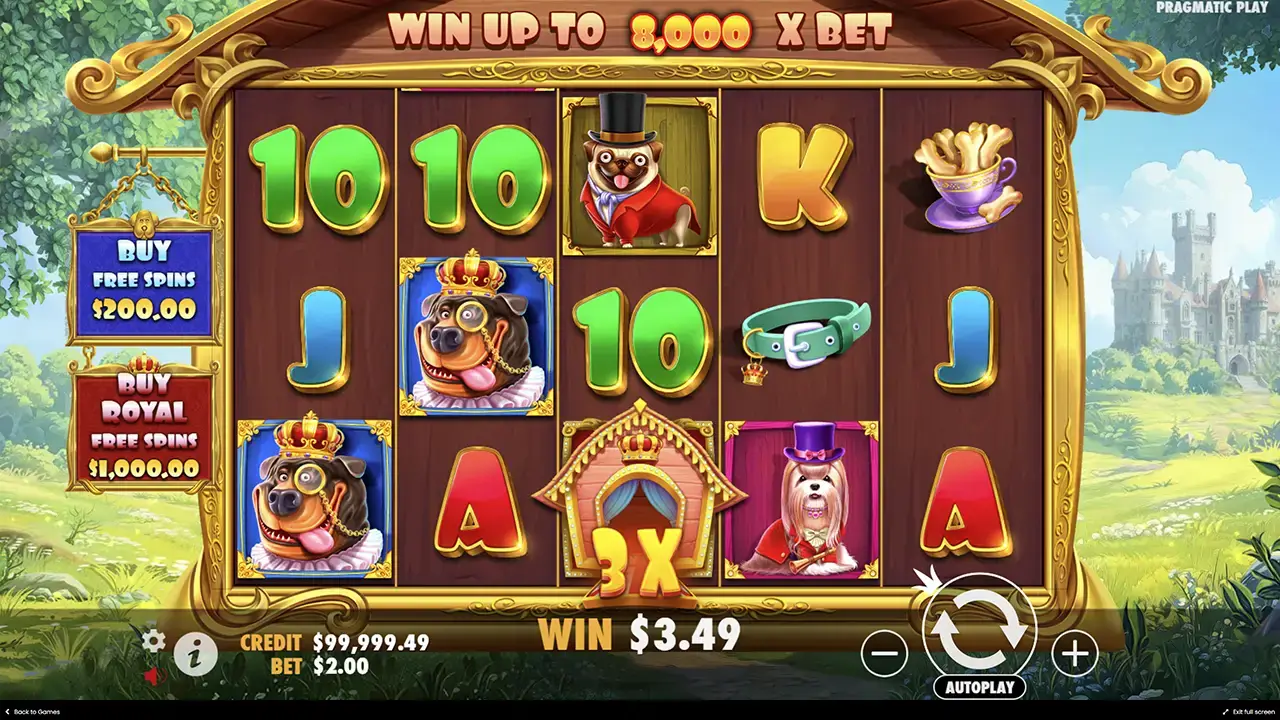 Dog house Royal Hunt - характеристики и особенности