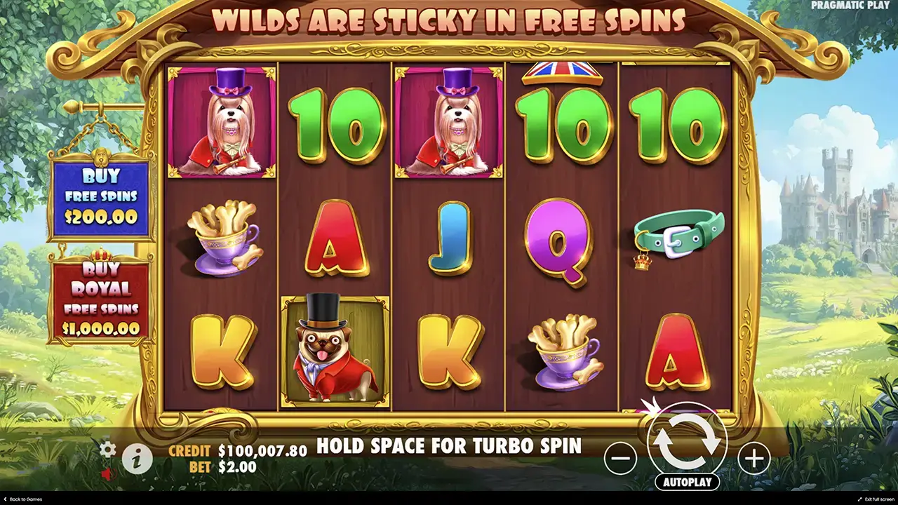 Бонусы демо слота в the Dog house Royal Hunt